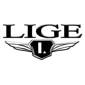 LIGE 9893
